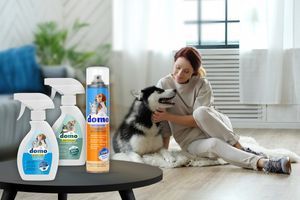 Domo: домашній затишок з домашніми улюбленцями без неприємних ароматів фото